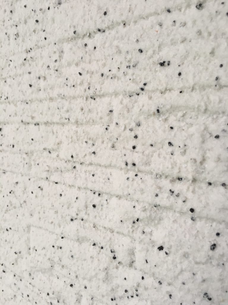 外壁塗装　アトモス　施工例　日本イーリモデル